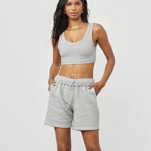 Alo Wellness Bra in Grey